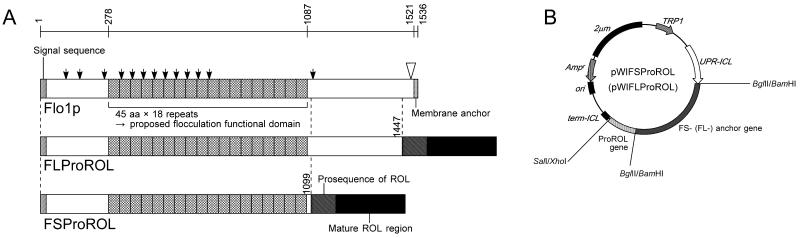 FIG. 1.