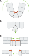 Fig. 1.