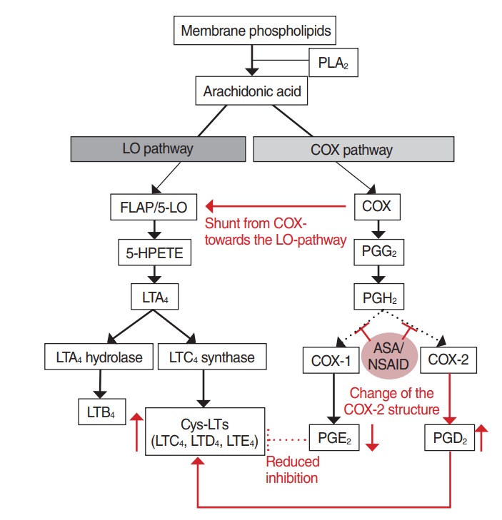 Samter’s Triad: State of the Art - PMC