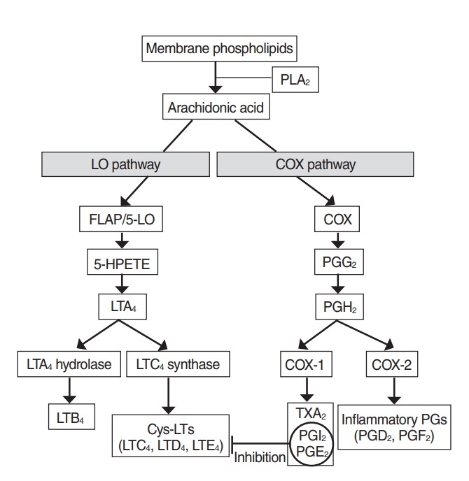 Samter’s Triad: State of the Art - PMC