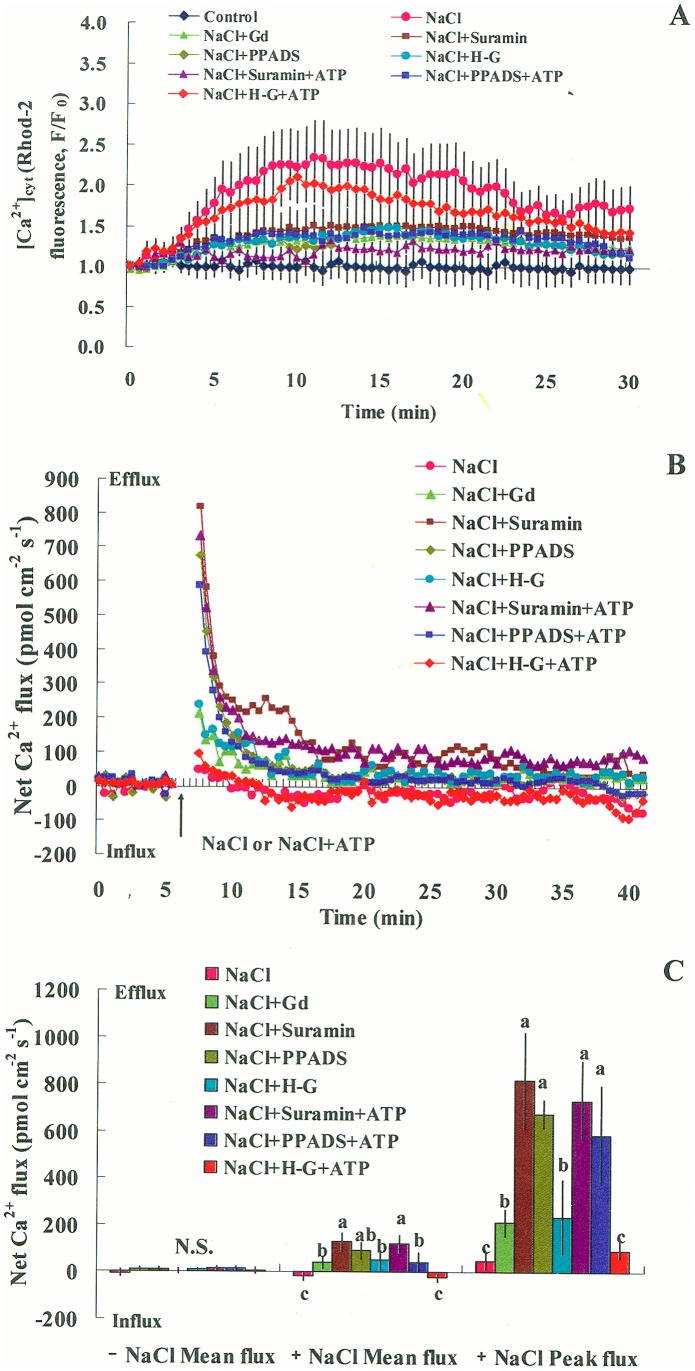 Figure 7