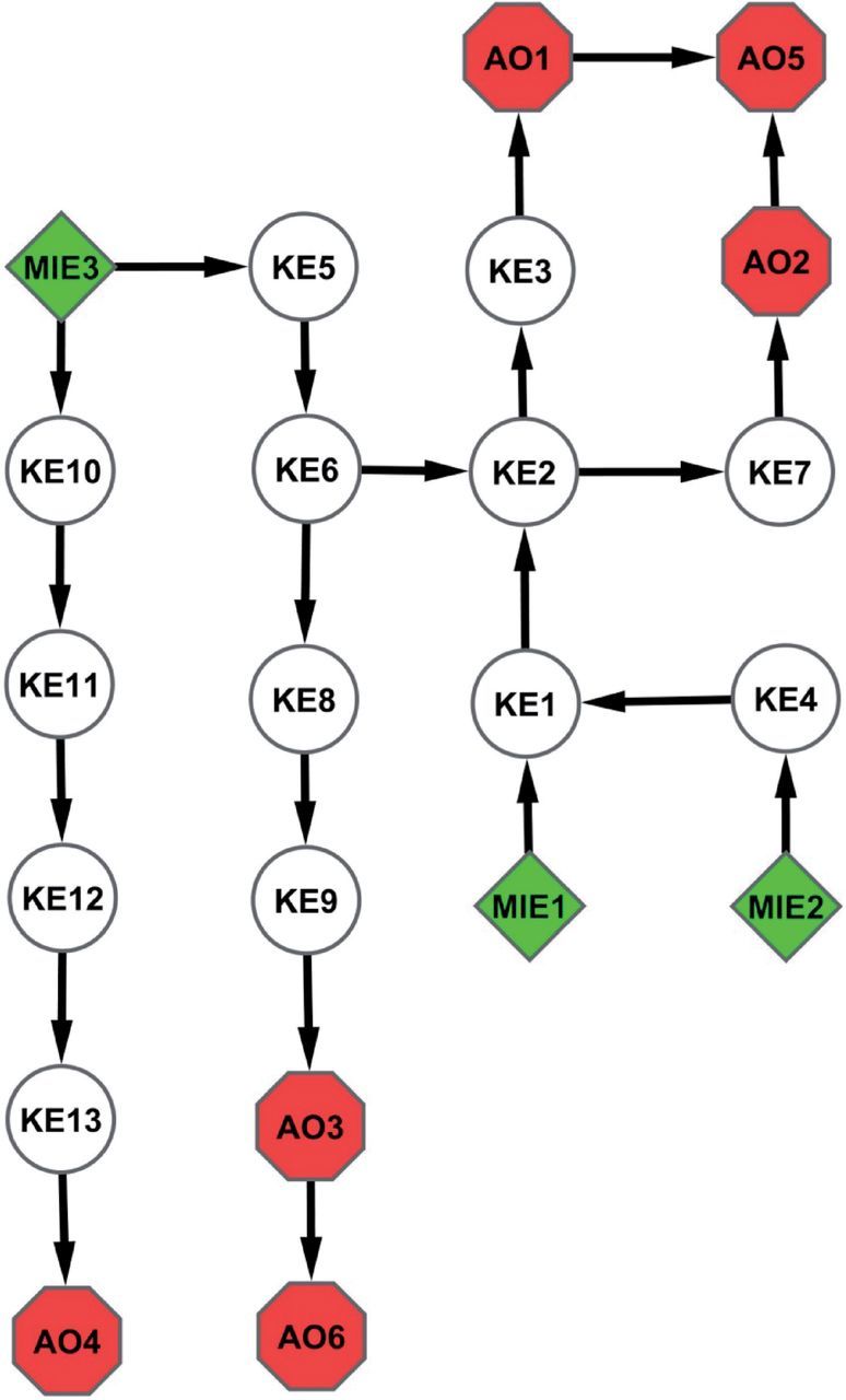 FIG. 2.