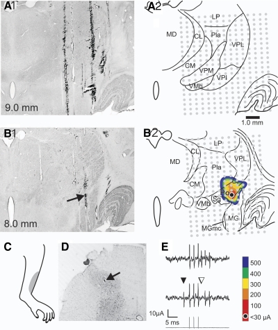 FIG. 2.