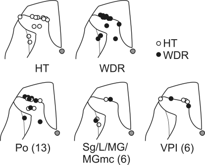 FIG. 9.