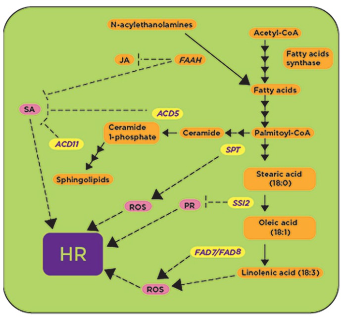 FIGURE 4