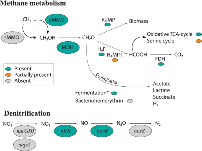 Figure 7