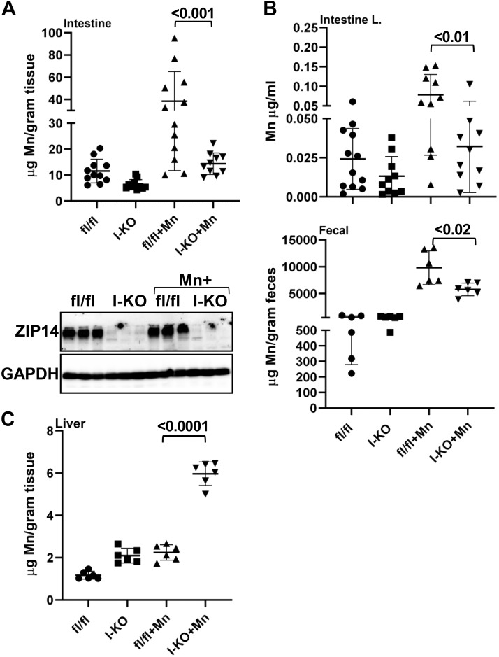 Fig. 4.