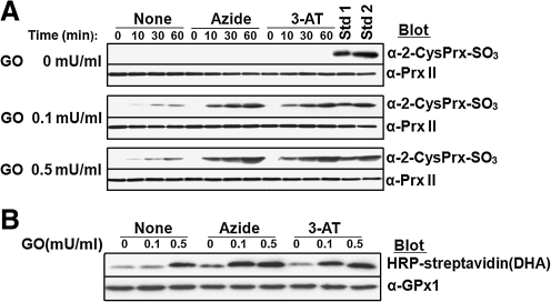 FIG. 7.