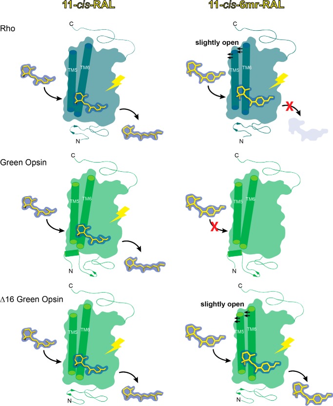 Figure 13.