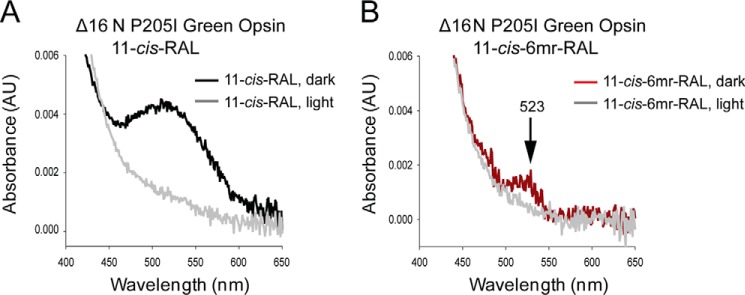 Figure 11.