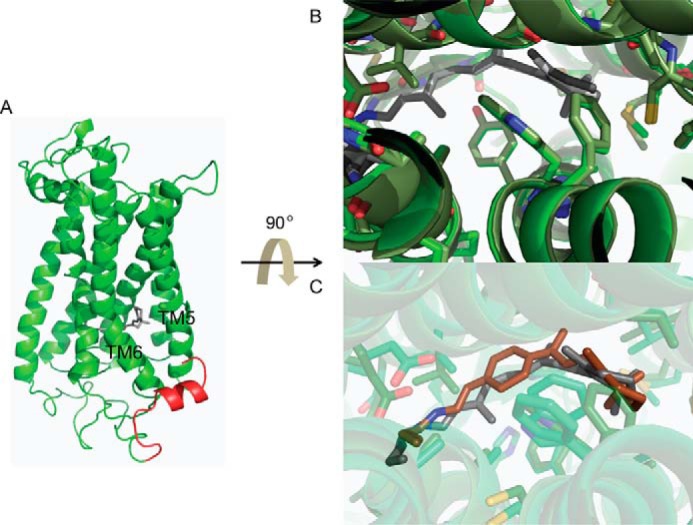 Figure 12.