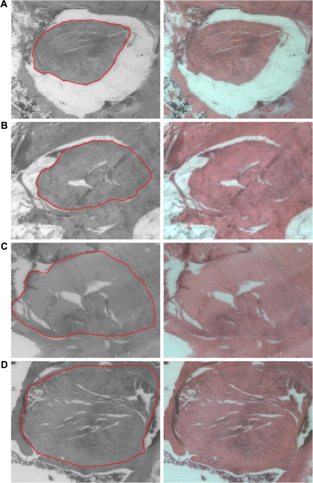 Figure 12