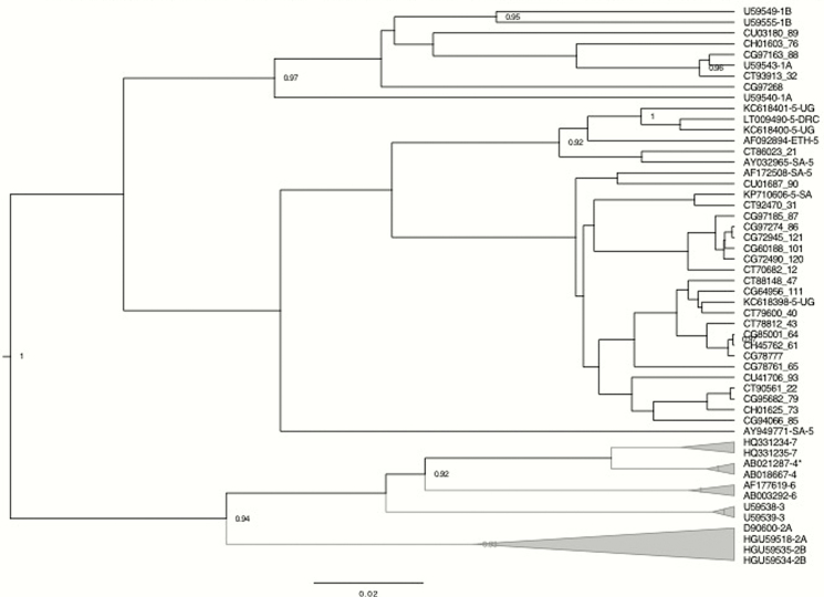 Figure 2.