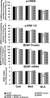 Figure 11.