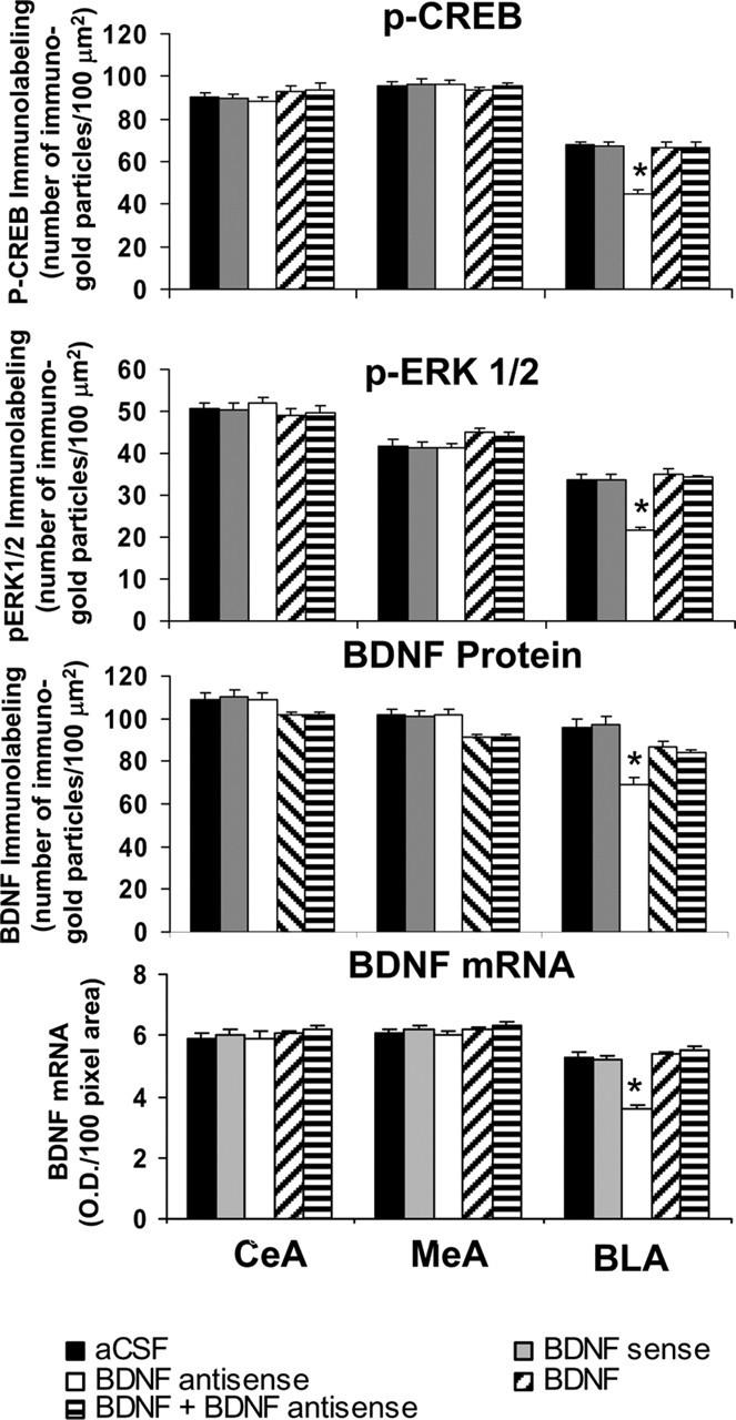 Figure 11.