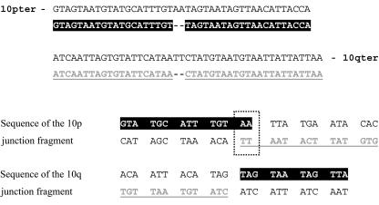 Figure  1