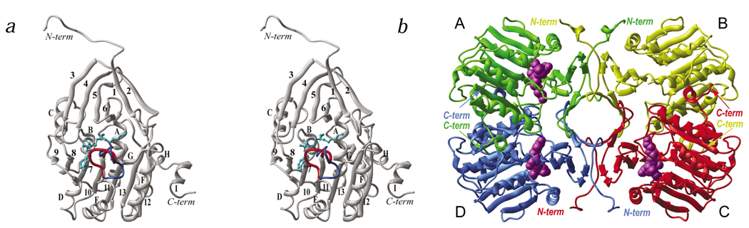 Fig. 2