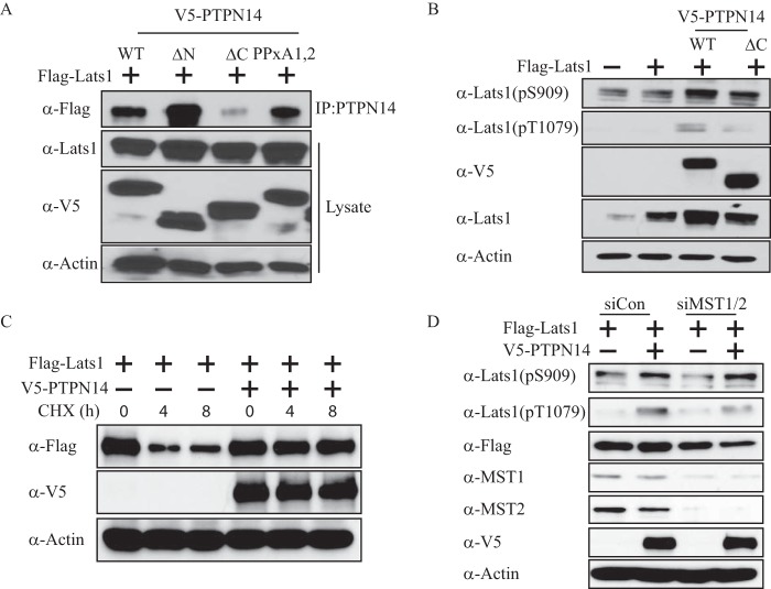 FIGURE 4.