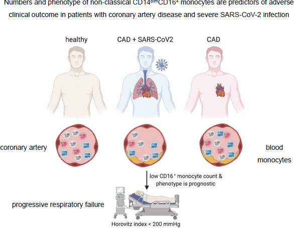 Graphical Abstract