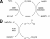 FIGURE 14.