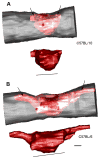 Fig. 4