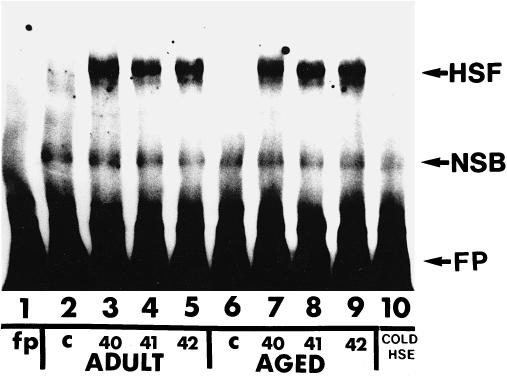 Fig 2.