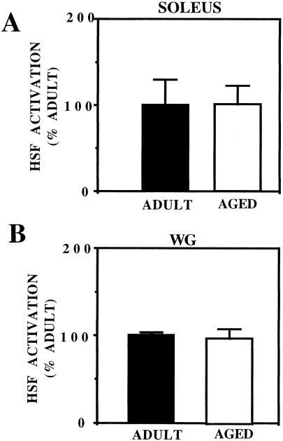 Fig 3.