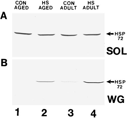 Fig 5.