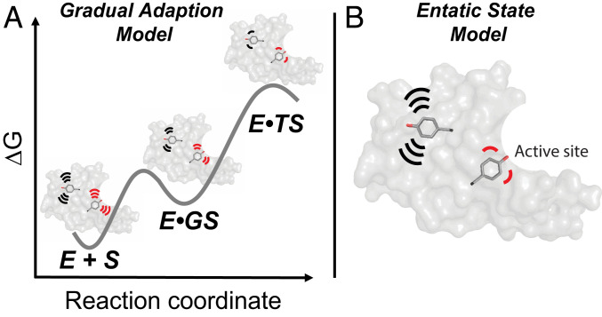 Fig. 9.