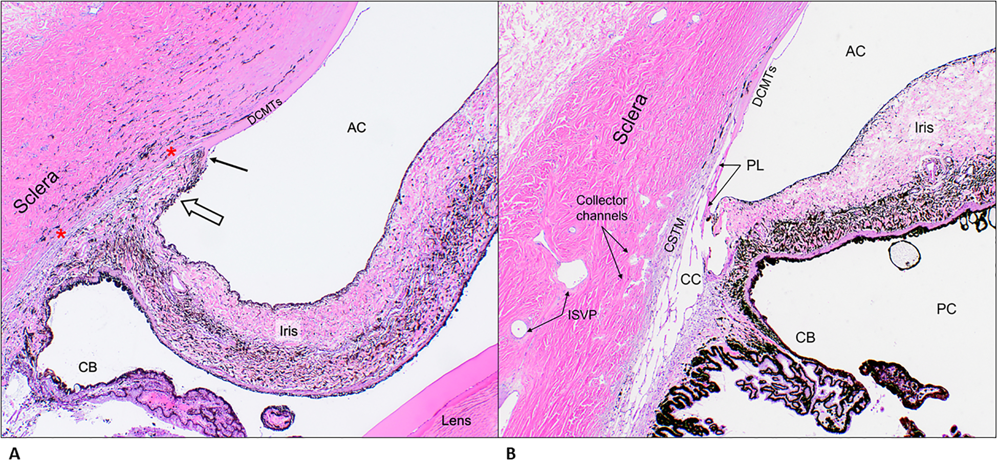 Figure 9.