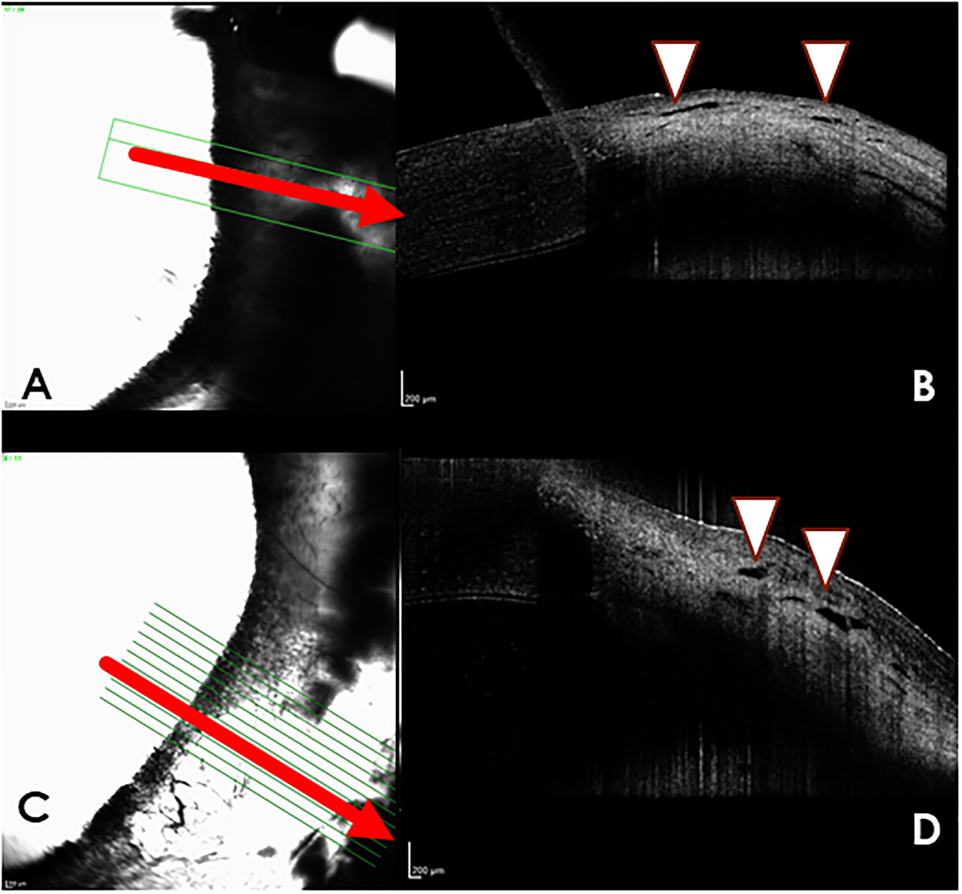 Figure 6.