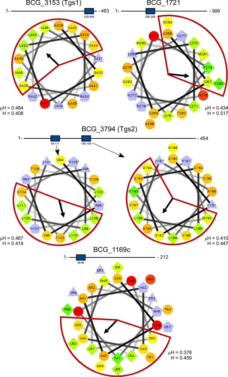 FIG 5