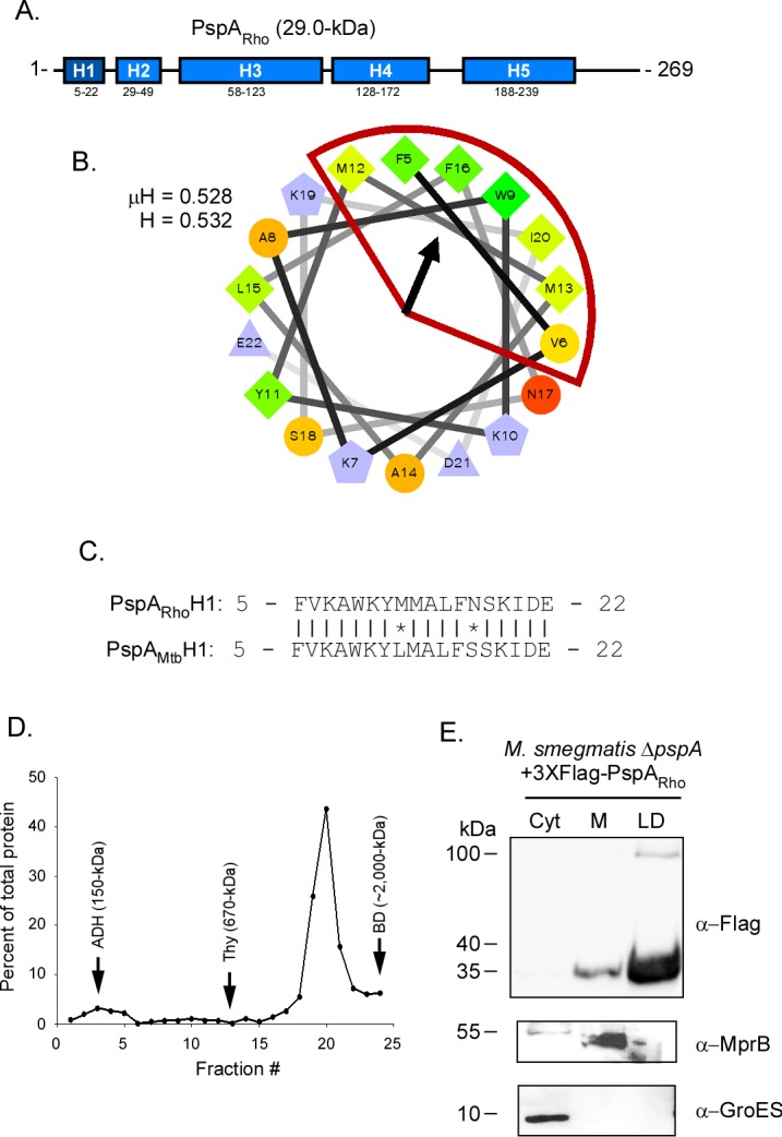 FIG 2