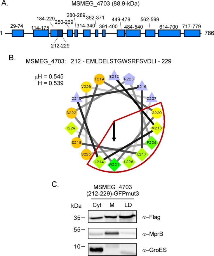 FIG 6