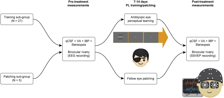 Figure 1