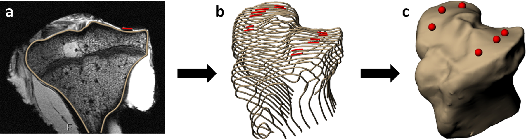 Figure 2: