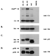 FIG. 7