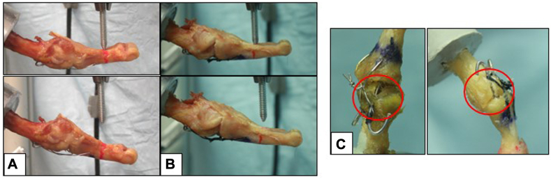 Figure 4