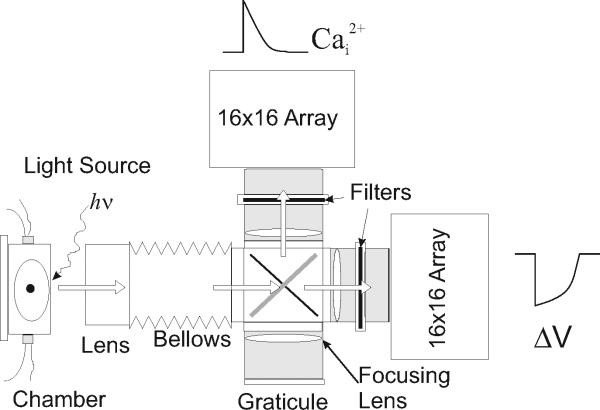 Figure 12.17.2