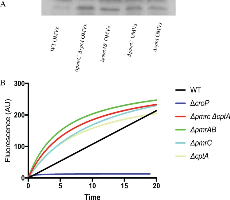 FIG 8