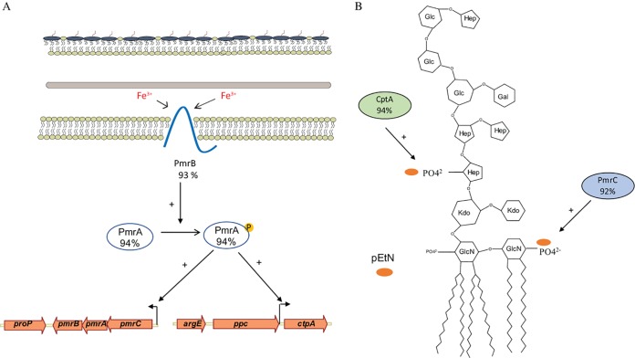 FIG 1