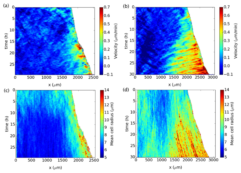 Fig. 7