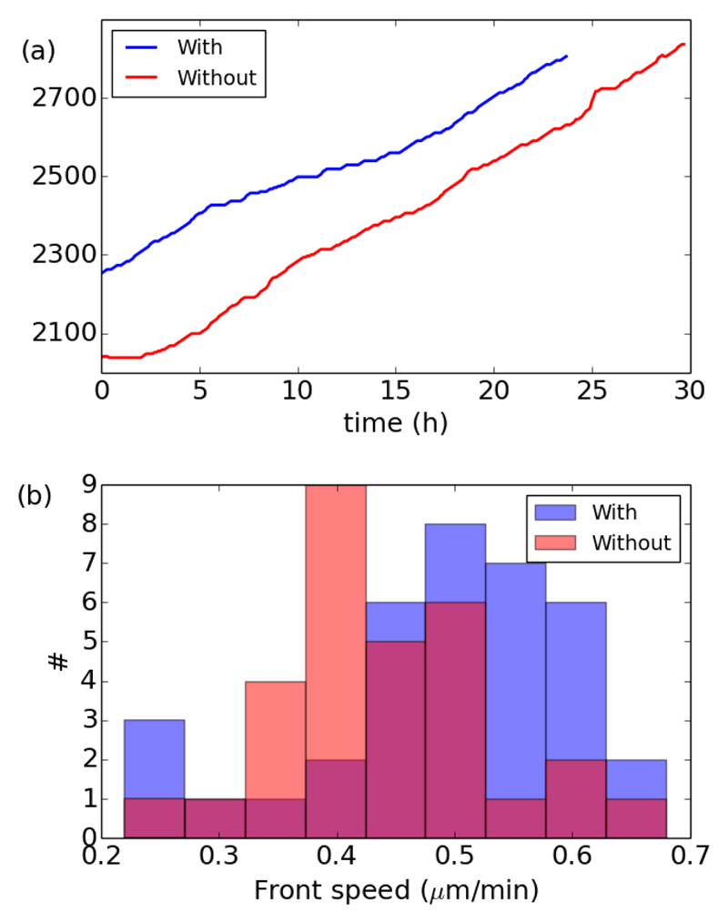 Fig. 3