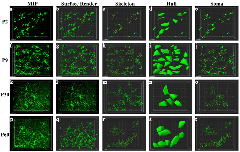 Figure 2: