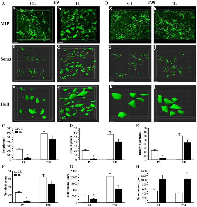 Figure 5: