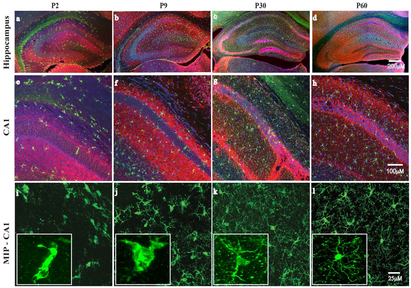 Figure 1: