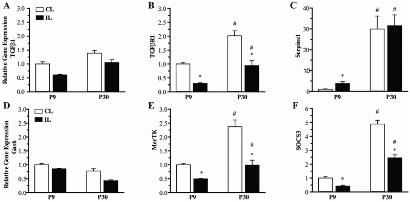 Figure 6: