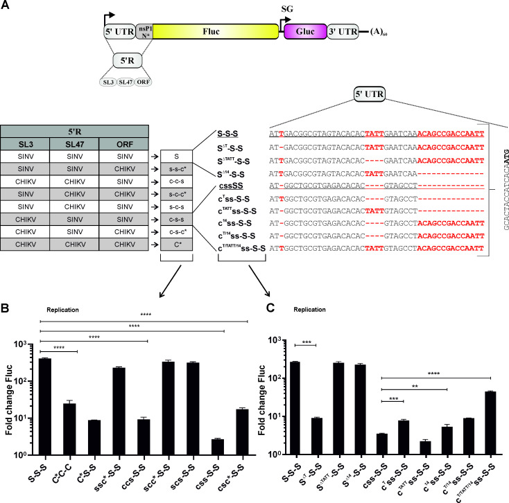 Fig 10