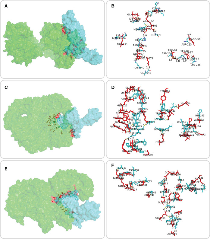 Figure 3