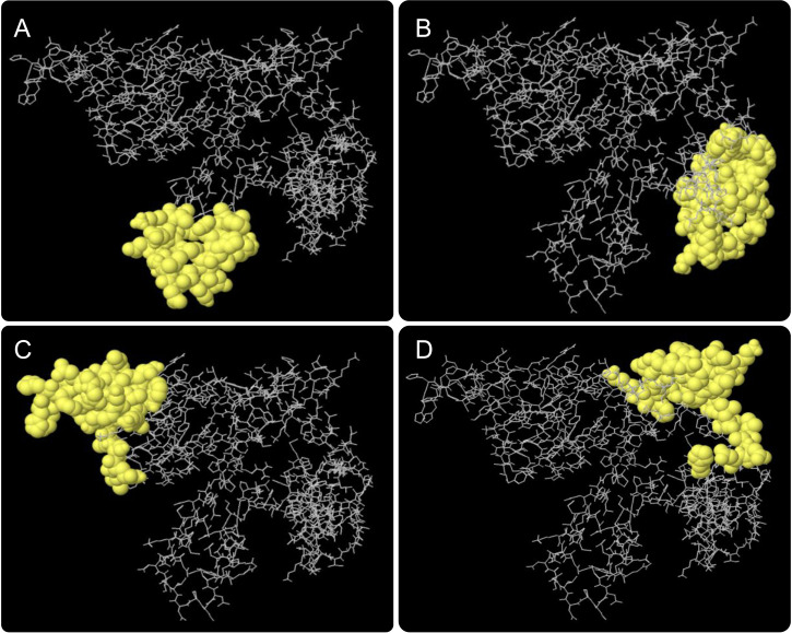 Figure 4